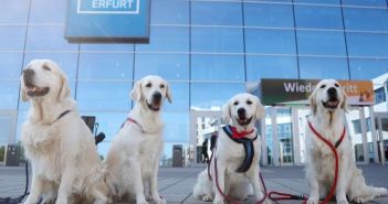 Erfolgreiche Internationale Rassehunde- und Rassekatzen-Ausstellung in (Foto: Messe Erfurt GmbH)